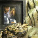 il pitone compie 25 anni