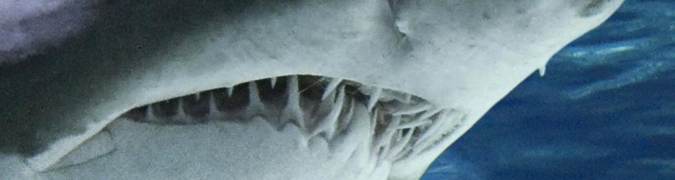 un lavoro da brivido