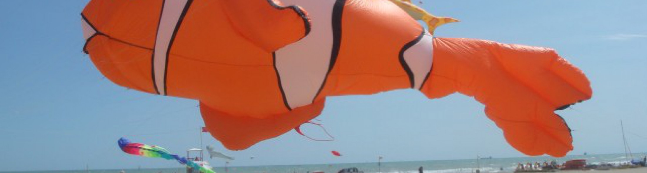 l'acquario prende il volo