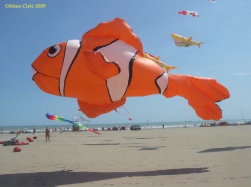 l'acquario prende il volo