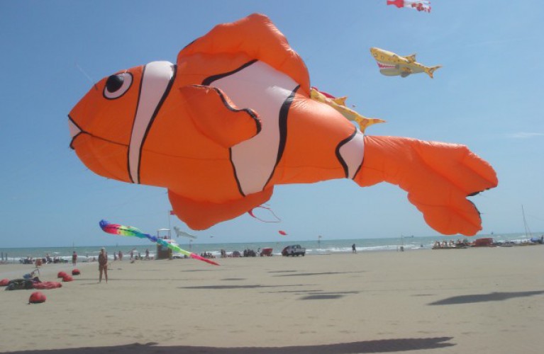 l'acquario prende il volo