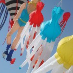 l'acquario prende il volo