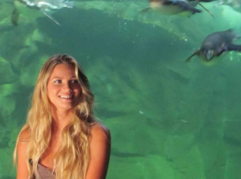 wild oltrenatura sceglie l' acquario di cattolica