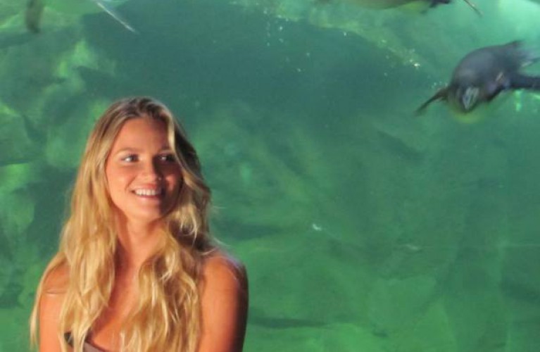 wild oltrenatura sceglie l' acquario di cattolica