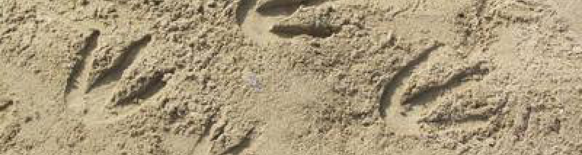 i primi indizi da spiaggia...