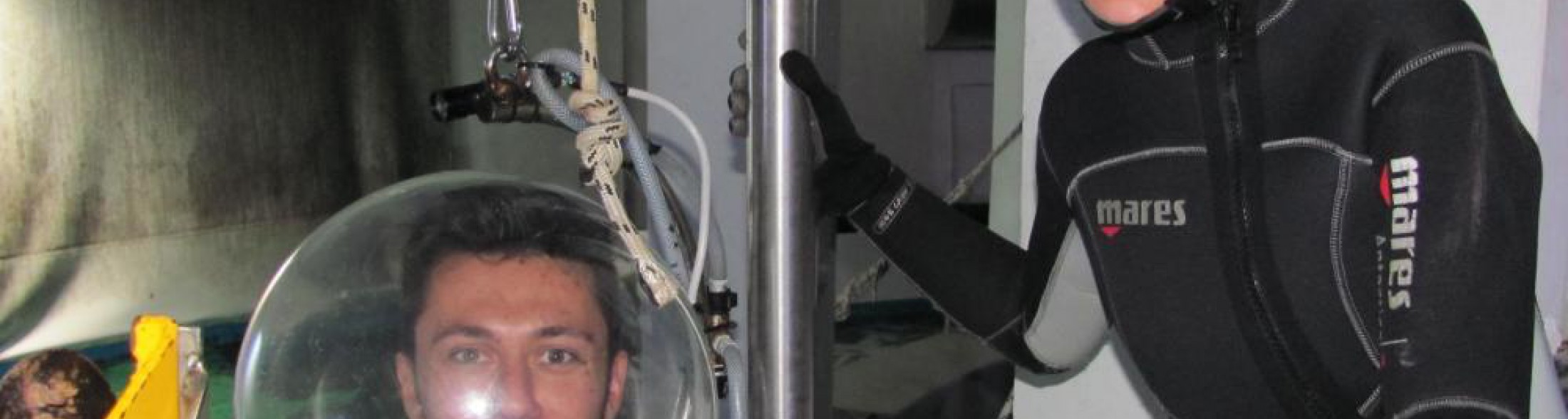 mtv - trl on the road tra gli squali