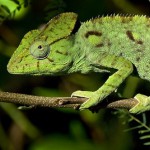 cattolica immersa nel verde