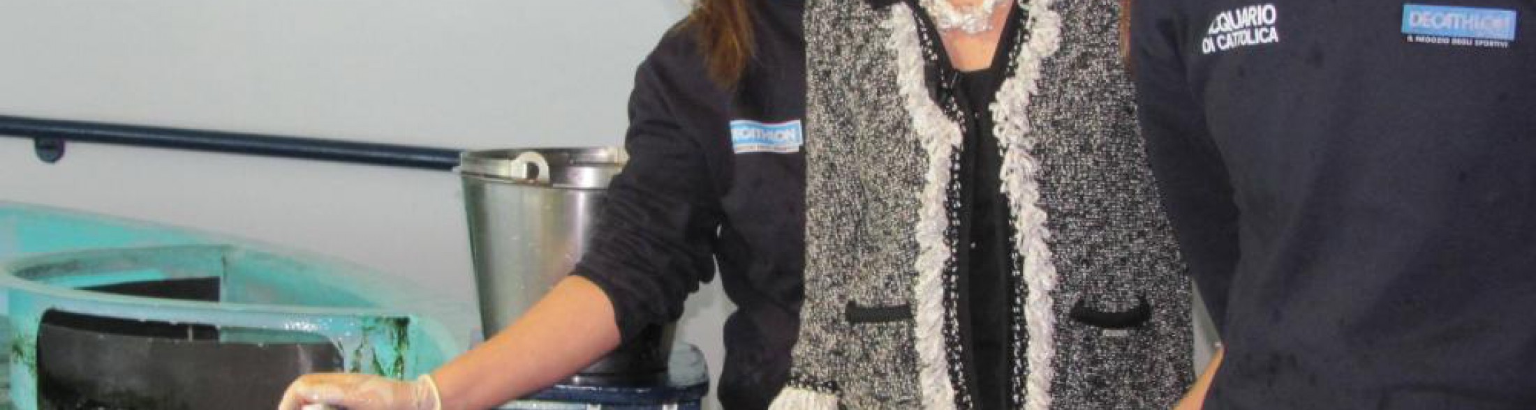 sereno variabile all' acquario di cattolica