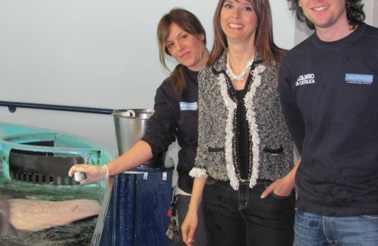 sereno variabile all' acquario di cattolica