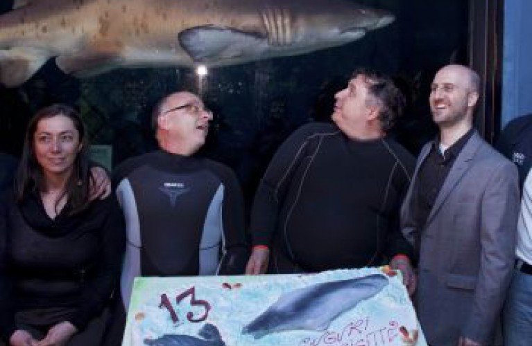 compleanno dello squalo brigitte