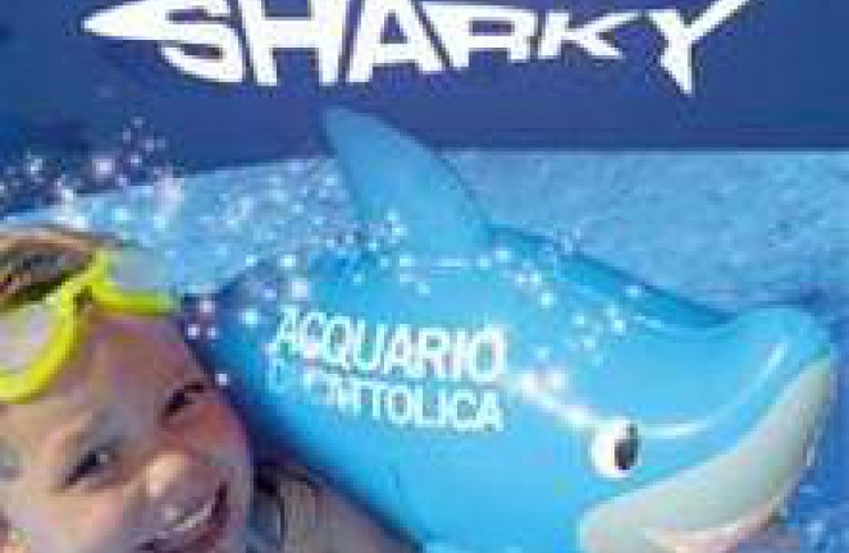 in regalo sharky