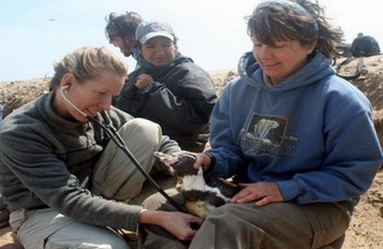 Cattolica per  "Salva una specie"  day