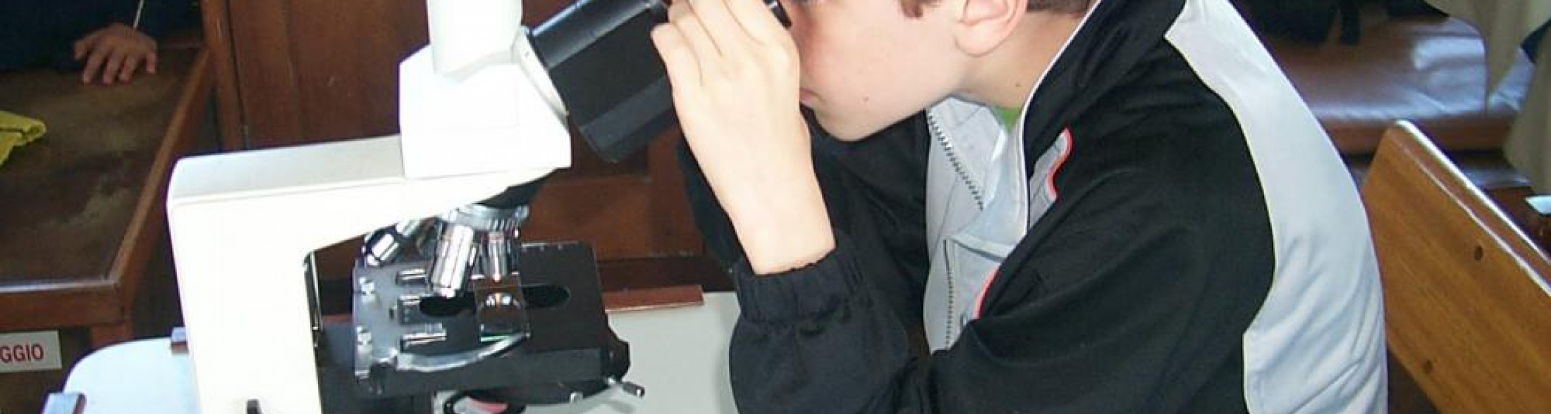 Laboratorio in una goccia: il Plancton