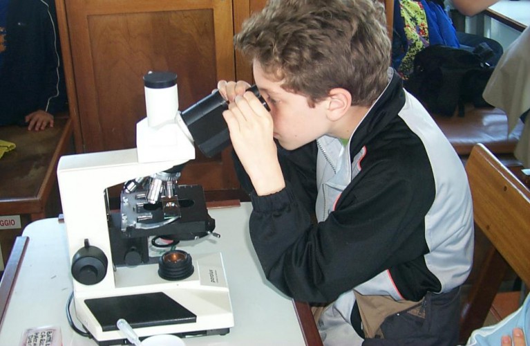 Laboratorio in una goccia: il Plancton