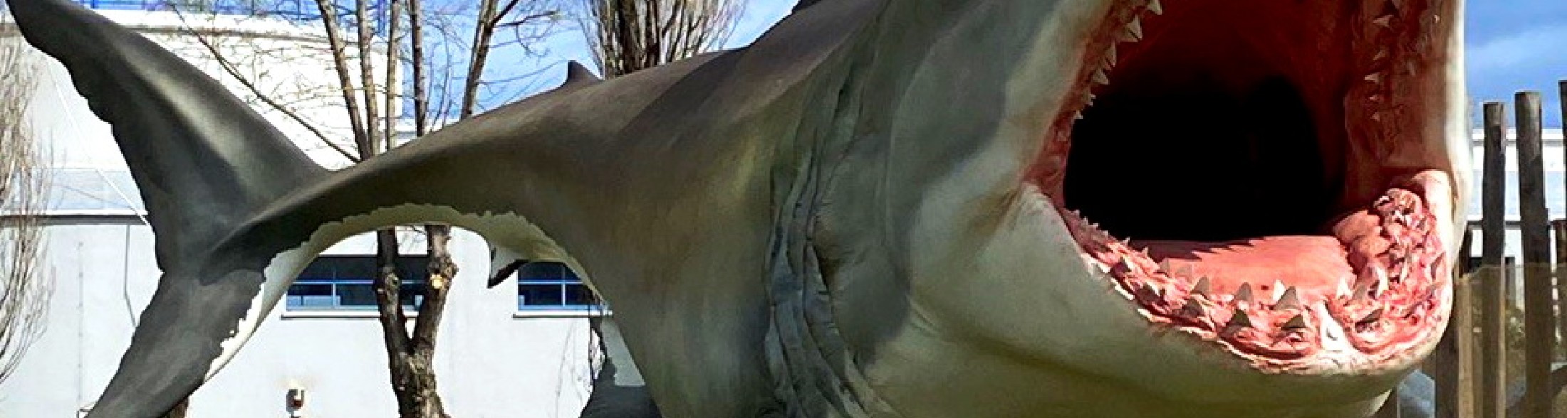 25 aprile in famiglia nei parchi Oltremare Italia in Miniatura Acquario di Cattolica