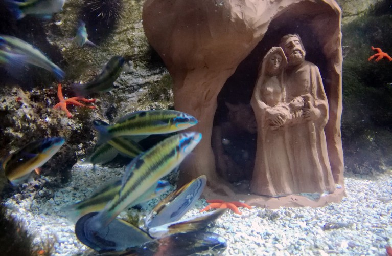 Natale all'Acquario di Cattolica