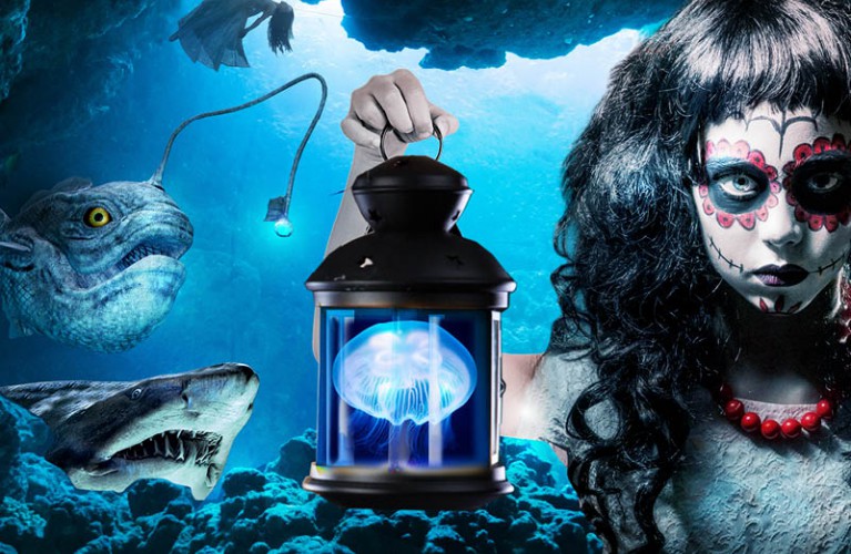 Halloween 2019 all'Acquario di Cattolica "Abissi di Paura"