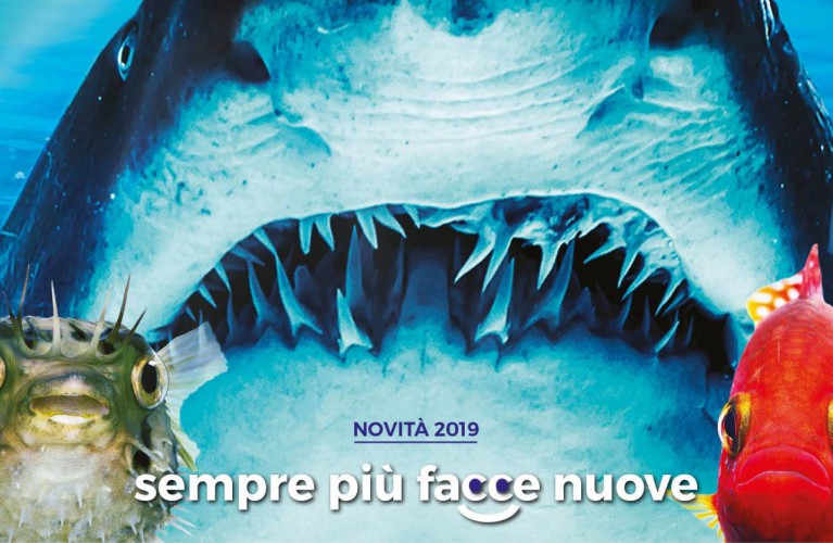L'Acquario di Cattolica riapre il 6 aprile