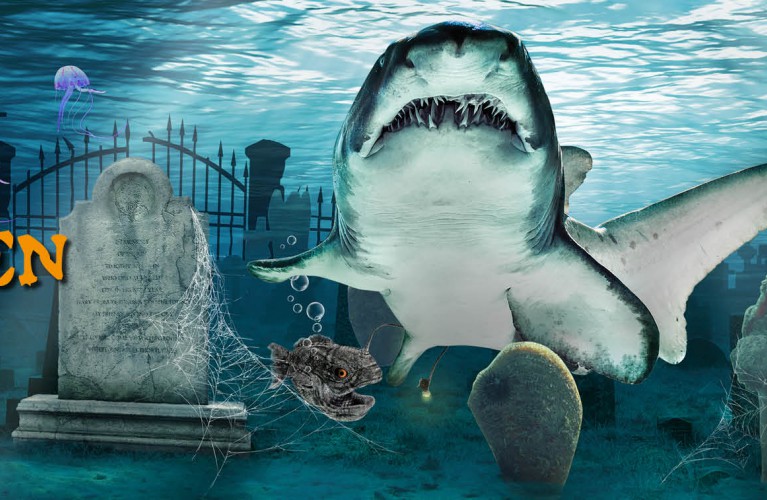 Halloween all'Acquario