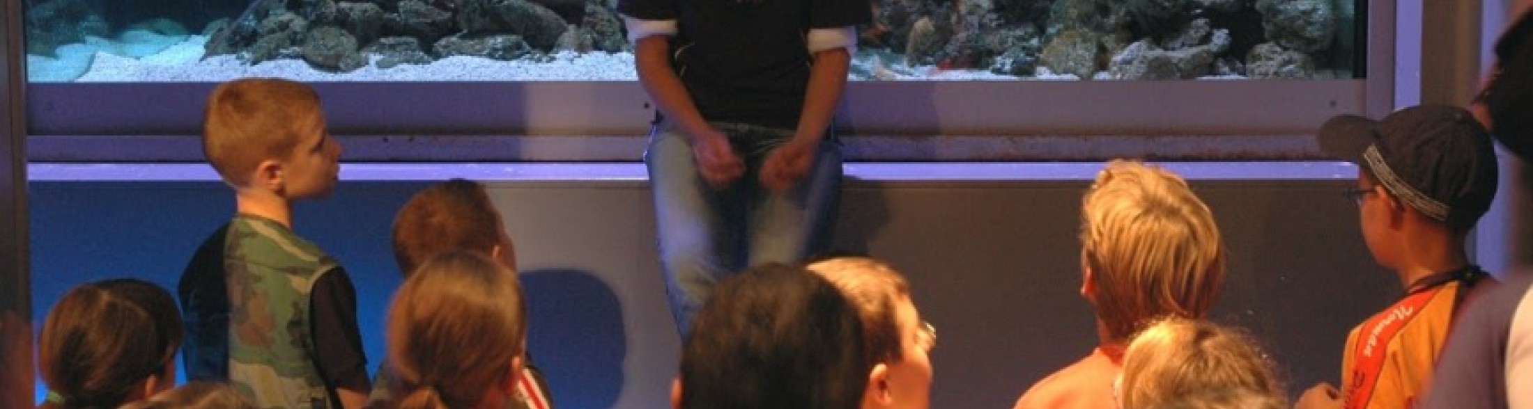 Educational tour per insegnanti