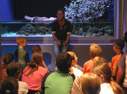 Educational tour per insegnanti