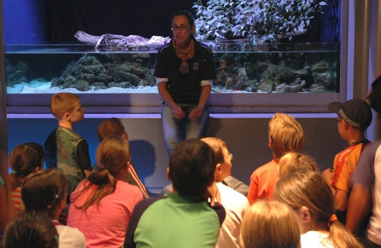 Educational tour per insegnanti