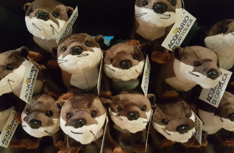 E' la Giornata Mondiale della Lontra!