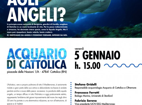 Credi ancora agli angeli?