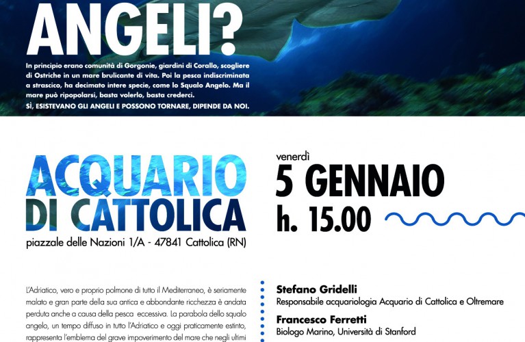 Credi ancora agli angeli?