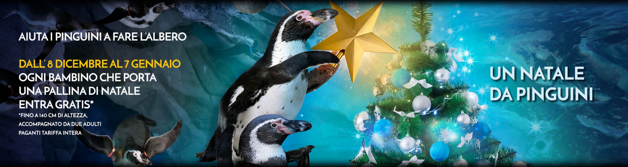 Un Natale da Pinguini
