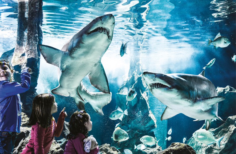 Domenica 17 settembre “Una giornata per la ricerca” -  FESTA DELLO IOR