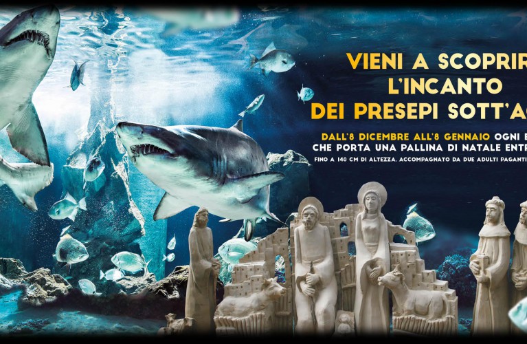 Natale all'Acquario di Cattolica