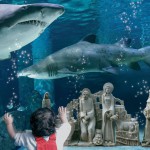 Natale all'Acquario