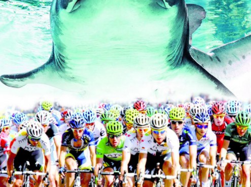 Al via la prima Granfondo squali Cattolica Gabicce mare