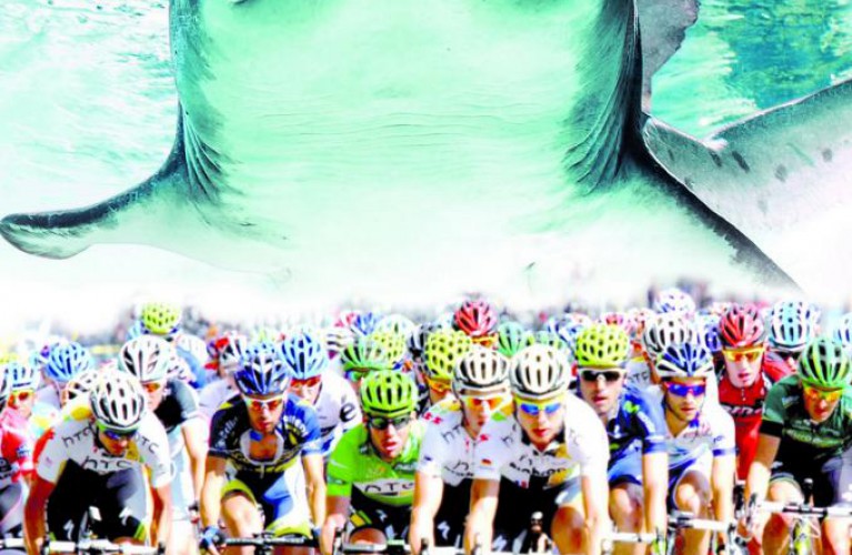 Al via la prima Granfondo squali Cattolica Gabicce mare