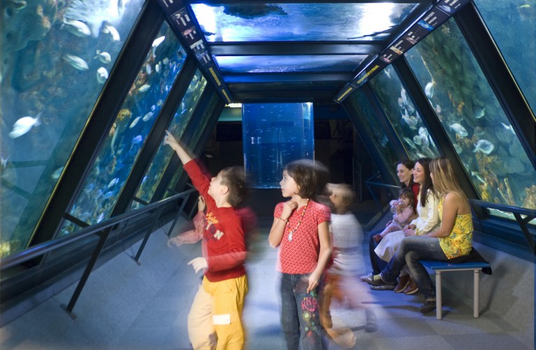 Non sai che pesci pigliare?