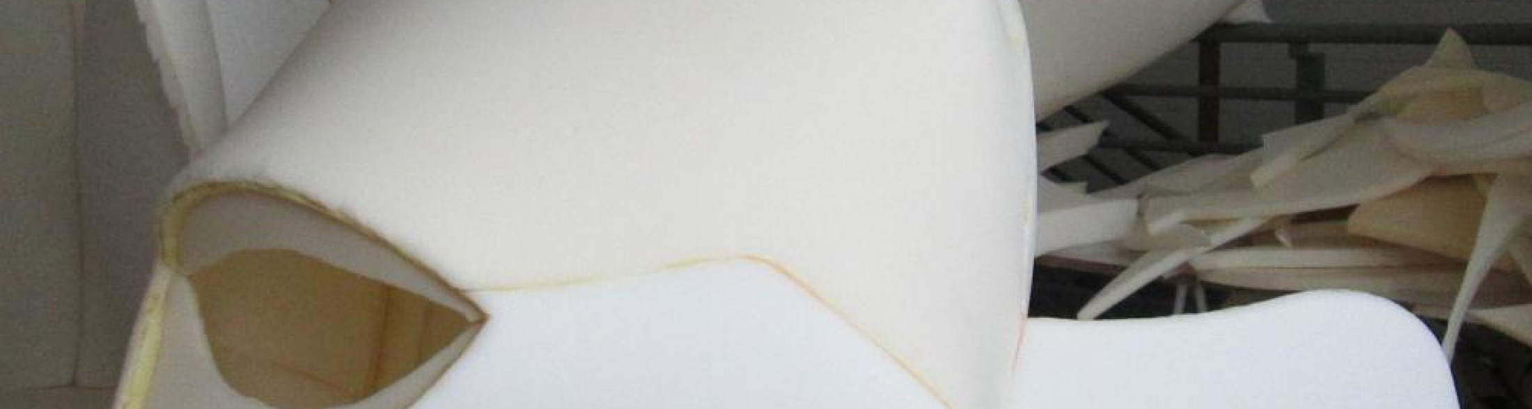 L'Acquario star al  Carnevale di Fano