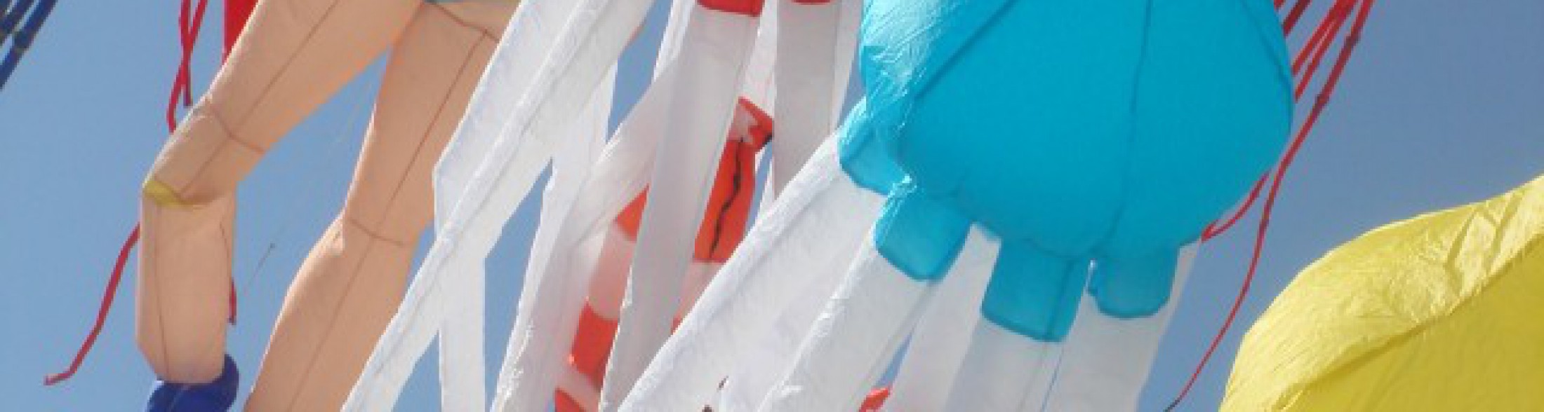 l'acquario prende il volo