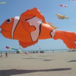 l'acquario prende il volo