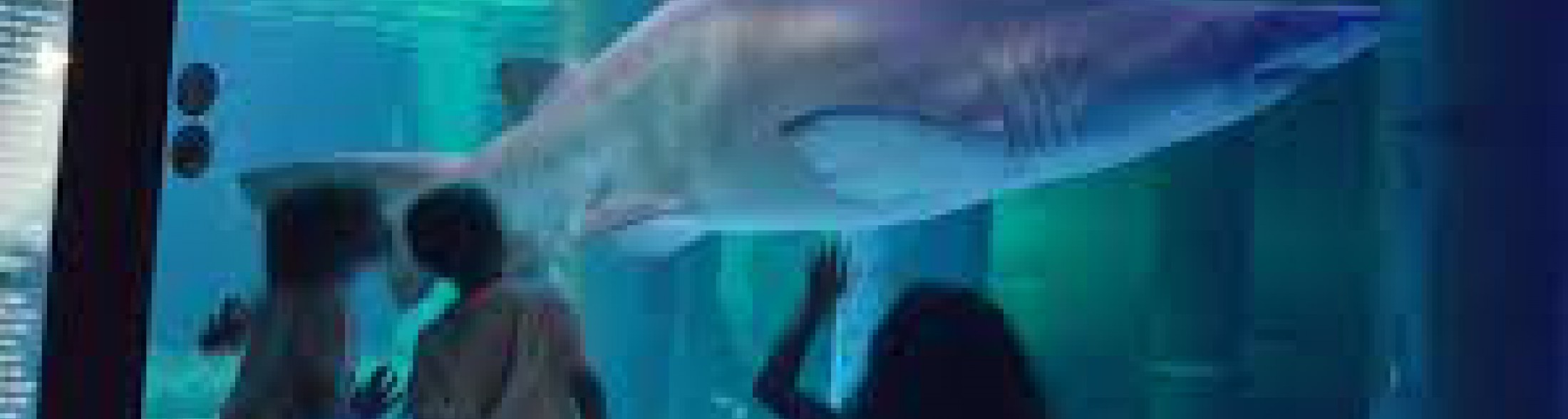 I parchi Costa aderiscono a Milluminodimeno 2020