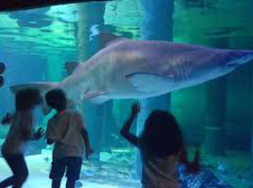 I parchi Costa aderiscono a Milluminodimeno 2020