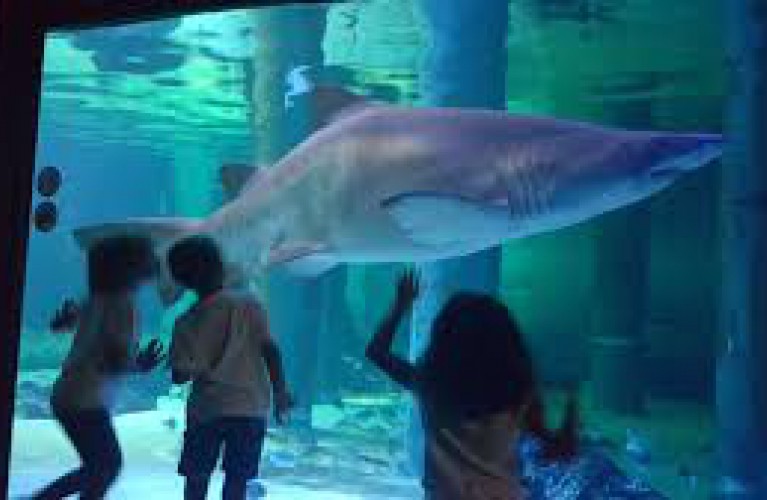 I parchi Costa aderiscono a Milluminodimeno 2020