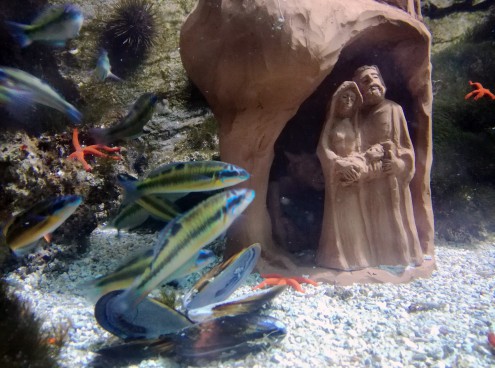 Natale all'Acquario di Cattolica
