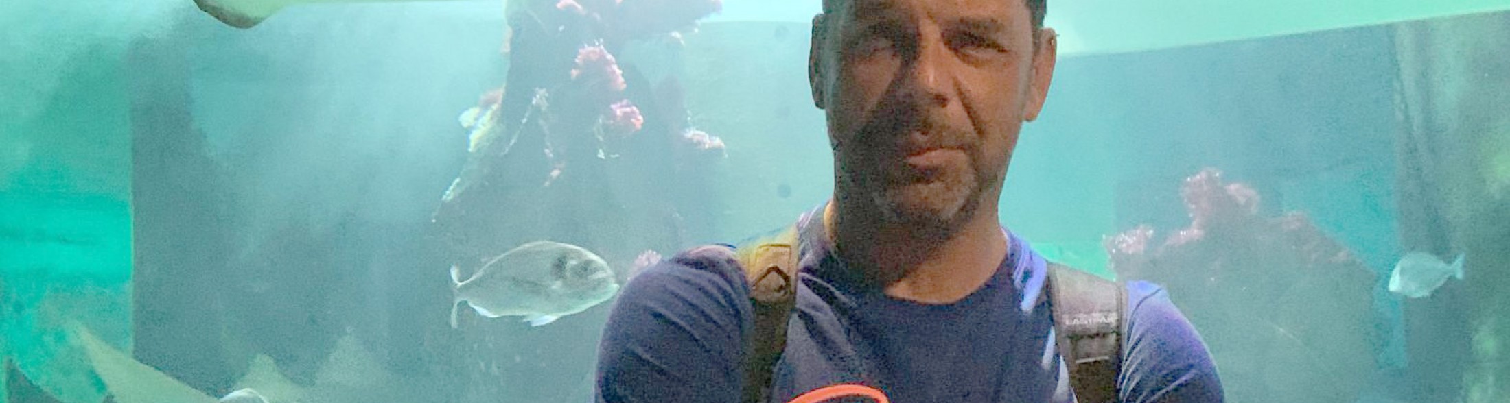 Salvo Sottile tra gli squali