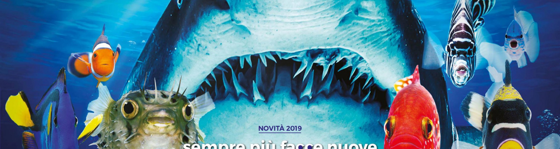 L'Acquario di Cattolica riapre il 6 aprile