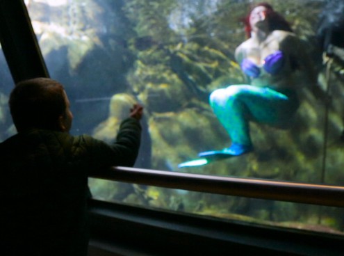 Andrea, malato di leucemia, incontra la Sirenetta Ariel all'Acquario