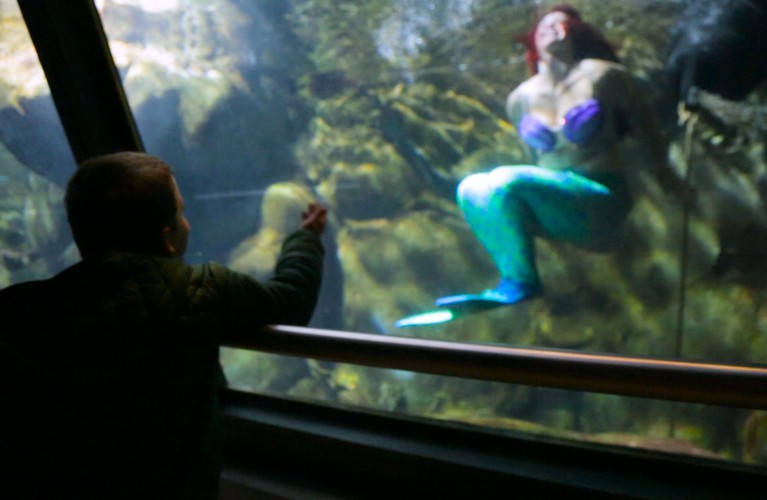 Andrea, malato di leucemia, incontra la Sirenetta Ariel all'Acquario