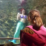 Andrea, malato di leucemia, incontra la Sirenetta Ariel all'Acquario