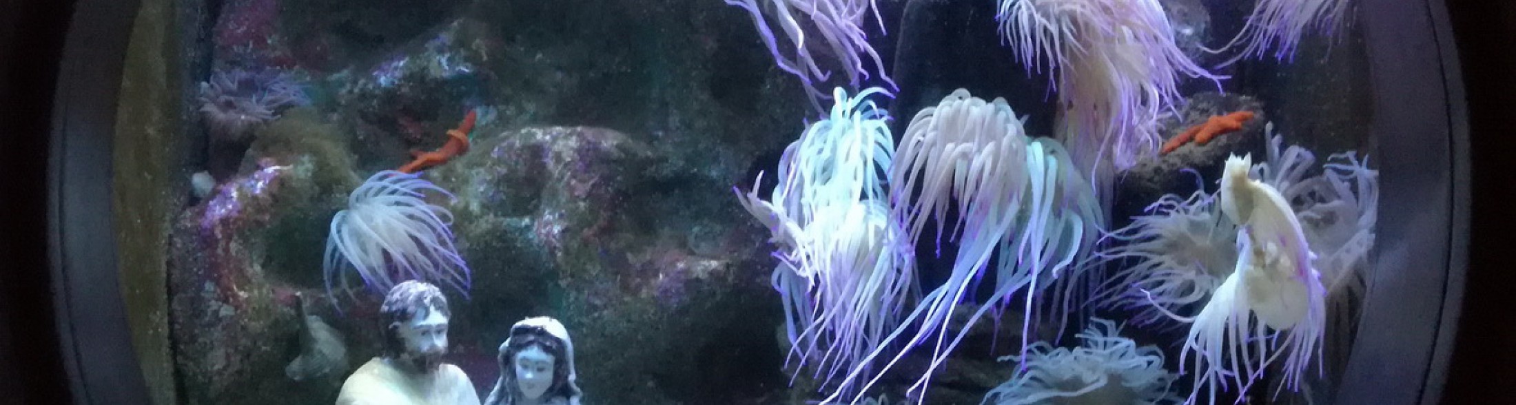 I presepi sommersi 2018