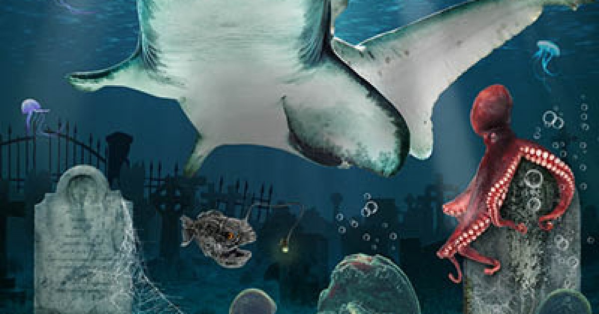 Halloween 2018 all'Acquario di Cattolica